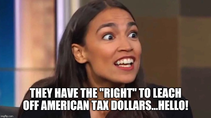 Crazy AOC | THEY HAVE THE "RIGHT" TO LEACH OFF AMERICAN TAX DOLLARS...HELLO! | image tagged in crazy aoc | made w/ Imgflip meme maker