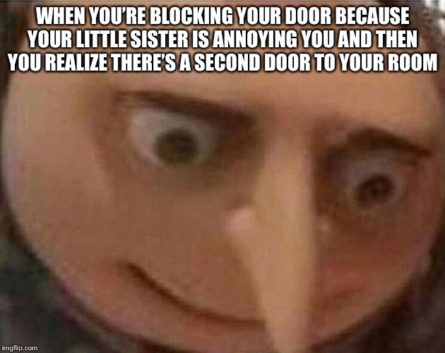 gru meme | WHEN YOU’RE BLOCKING YOUR DOOR BECAUSE YOUR LITTLE SISTER IS ANNOYING YOU AND THEN YOU REALIZE THERE’S A SECOND DOOR TO YOUR ROOM | image tagged in gru meme | made w/ Imgflip meme maker