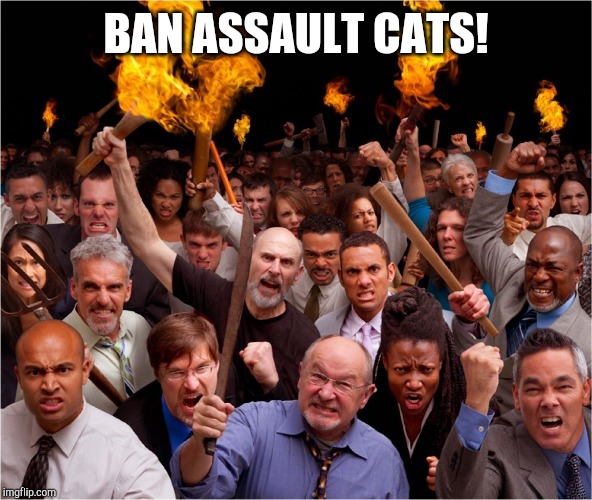 Angry mob | BAN ASSAULT CATS! | image tagged in angry mob | made w/ Imgflip meme maker