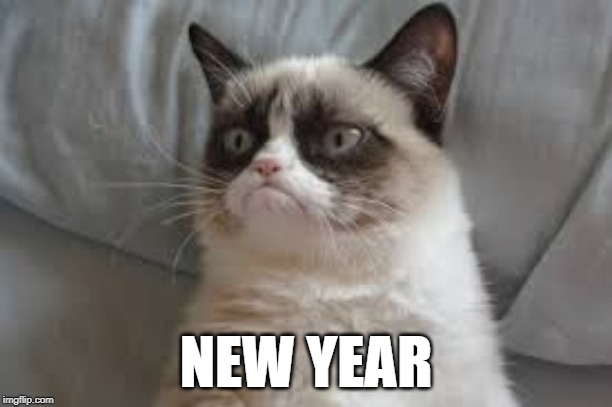 Happy New Year! | NEW YEAR | image tagged in grumpy cat | made w/ Imgflip meme maker