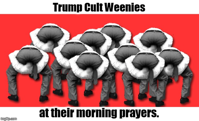 Trump Cult Weenies; at their morning prayers. | image tagged in trump,trump cult weenies,morning prayer | made w/ Imgflip meme maker