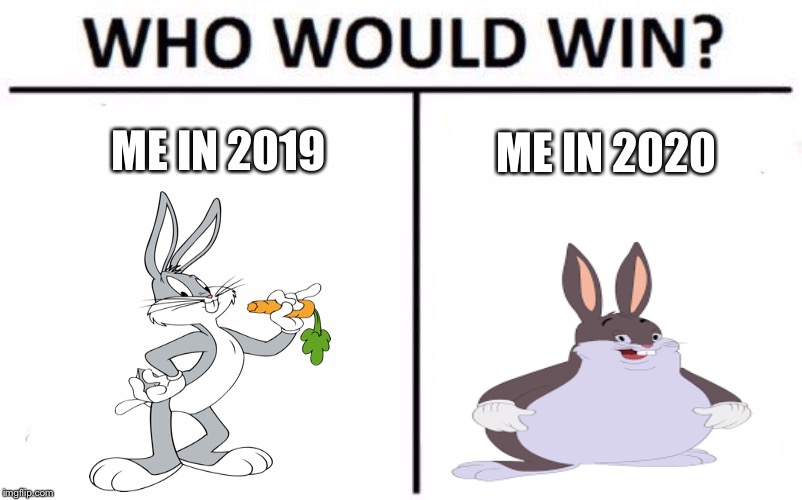Who Would Win? Meme | ME IN 2019; ME IN 2020 | image tagged in memes,who would win | made w/ Imgflip meme maker