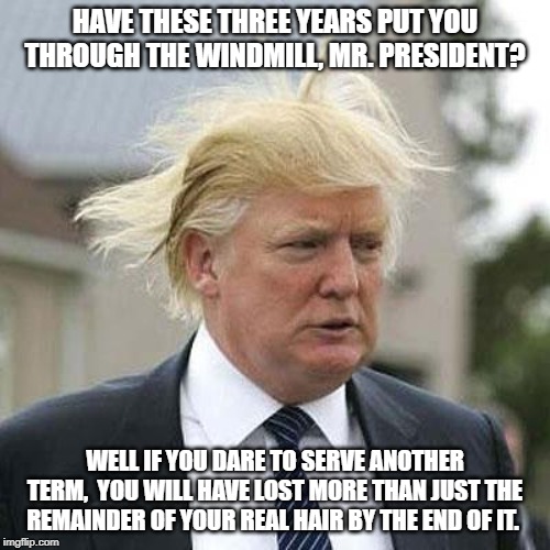 Donald Trump | HAVE THESE THREE YEARS PUT YOU THROUGH THE WINDMILL, MR. PRESIDENT? WELL IF YOU DARE TO SERVE ANOTHER TERM,  YOU WILL HAVE LOST MORE THAN JUST THE REMAINDER OF YOUR REAL HAIR BY THE END OF IT. | image tagged in donald trump | made w/ Imgflip meme maker