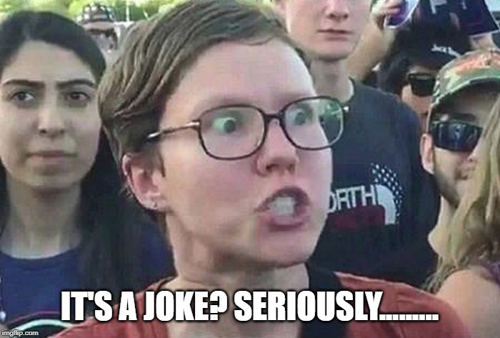 Triggered Liberal | IT'S A JOKE? SERIOUSLY......... | image tagged in triggered liberal | made w/ Imgflip meme maker