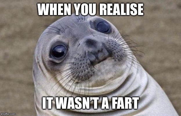 Awkward Moment Sealion |  WHEN YOU REALISE; IT WASN’T A FART | image tagged in money in politics,the problem is,google most random picture ever you will have fun,mark zuckerberg syria refugee camps facebook | made w/ Imgflip meme maker