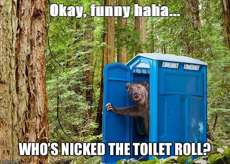 Outhouse Bear | Okay, funny haha... WHO’S NICKED THE TOILET ROLL? | image tagged in outhouse bear | made w/ Imgflip meme maker