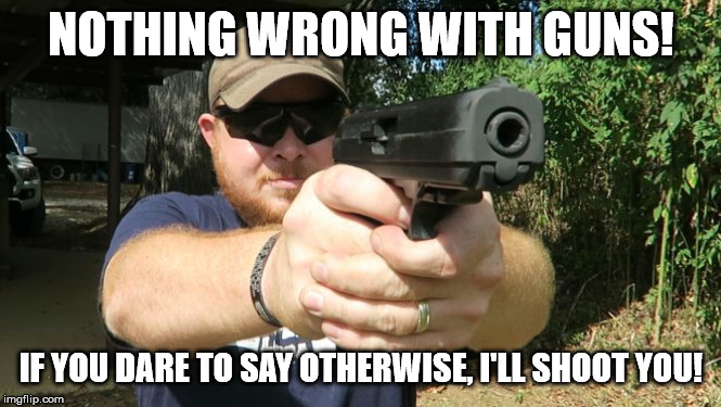 Look into a gun | NOTHING WRONG WITH GUNS! IF YOU DARE TO SAY OTHERWISE, I'LL SHOOT YOU! | image tagged in look into a gun | made w/ Imgflip meme maker