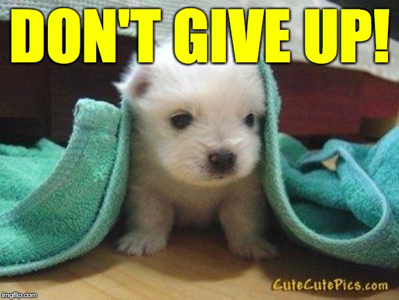 Cute puppy | DON'T GIVE UP! | image tagged in cute puppy | made w/ Imgflip meme maker