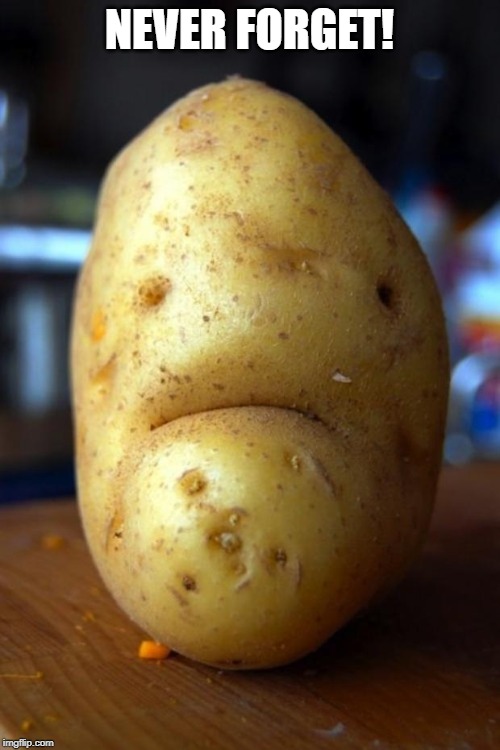 sad potato | NEVER FORGET! | image tagged in sad potato | made w/ Imgflip meme maker