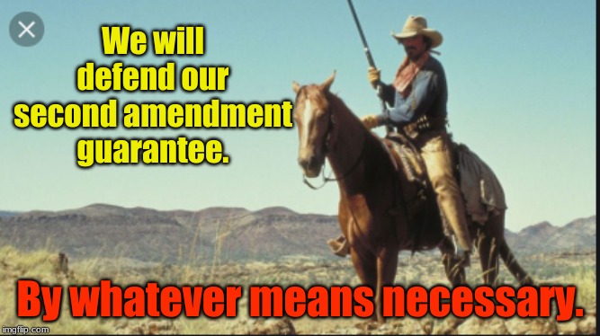  We will defend our second amendment guarantee. By whatever means necessary. | image tagged in 2nd amendment,tom selleck | made w/ Imgflip meme maker