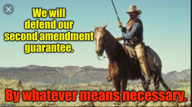 We will defend our second amendment guarantee. By whatever means necessary. | image tagged in 2nd amendment,tom selleck | made w/ Imgflip meme maker