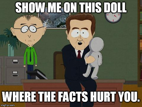 Show me on this doll | SHOW ME ON THIS DOLL; WHERE THE FACTS HURT YOU. | image tagged in show me on this doll | made w/ Imgflip meme maker