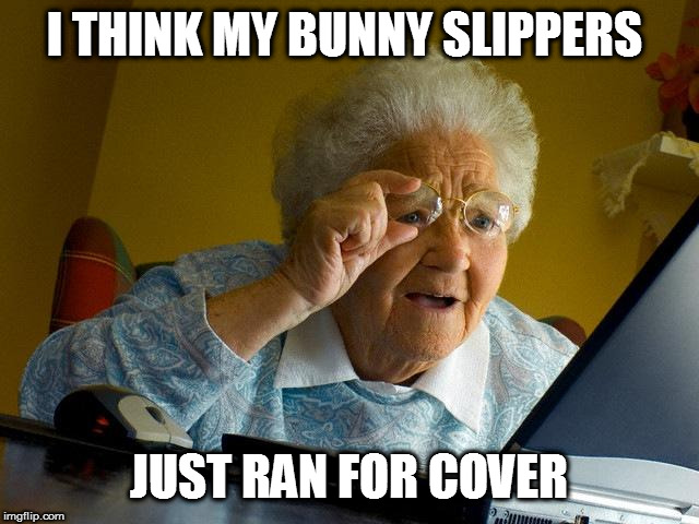 Grandma Finds The Internet Meme | I THINK MY BUNNY SLIPPERS JUST RAN FOR COVER | image tagged in memes,grandma finds the internet | made w/ Imgflip meme maker