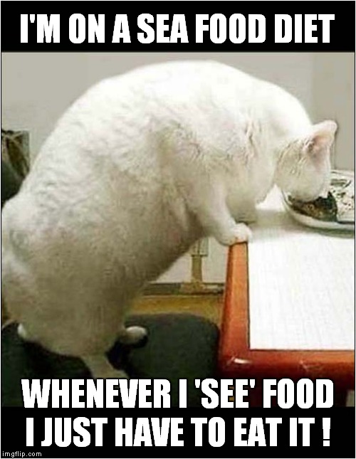 Cats Sea Food Diet | I'M ON A SEA FOOD DIET; WHENEVER I 'SEE' FOOD; I JUST HAVE TO EAT IT ! | image tagged in cats,fat cat,seafood,diet | made w/ Imgflip meme maker