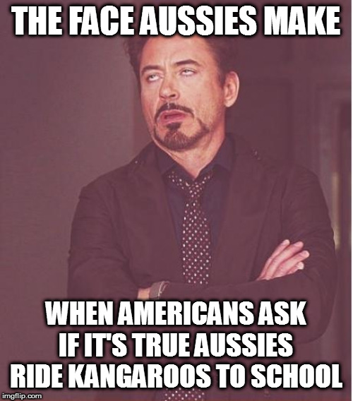 Face You Make Robert Downey Jr | THE FACE AUSSIES MAKE; WHEN AMERICANS ASK IF IT'S TRUE AUSSIES RIDE KANGAROOS TO SCHOOL | image tagged in memes,face you make robert downey jr,aussies,aussie stereotypes | made w/ Imgflip meme maker