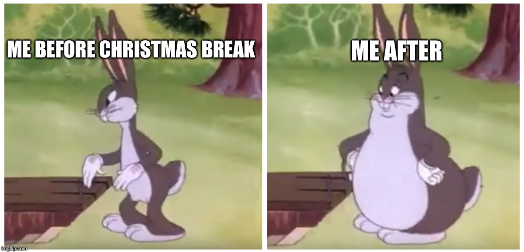 BIG CHUNGUS | ME AFTER; ME BEFORE CHRISTMAS BREAK | image tagged in big chungus | made w/ Imgflip meme maker