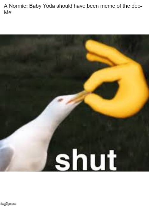 Shut Bird | A Normie: Baby Yoda should have been meme of the dec-
Me: | image tagged in shut bird | made w/ Imgflip meme maker