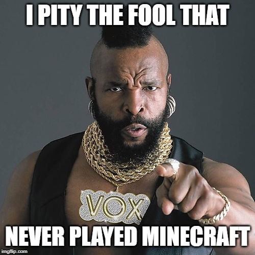 Mr T Pity The Fool | I PITY THE FOOL THAT; NEVER PLAYED MINECRAFT | image tagged in memes,mr t pity the fool | made w/ Imgflip meme maker
