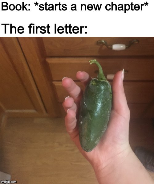 For reference, this is a jalapeno the size of my hand | Book: *starts a new chapter*; The first letter: | image tagged in books | made w/ Imgflip meme maker