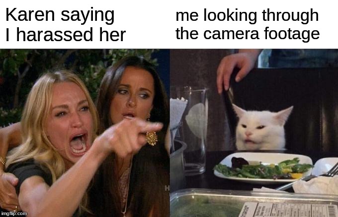 Woman Yelling At Cat Meme | Karen saying I harassed her; me looking through the camera footage | image tagged in memes,woman yelling at cat | made w/ Imgflip meme maker