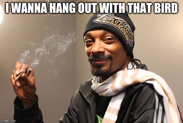 Snoop Dogg | I WANNA HANG OUT WITH THAT BIRD | image tagged in snoop dogg | made w/ Imgflip meme maker