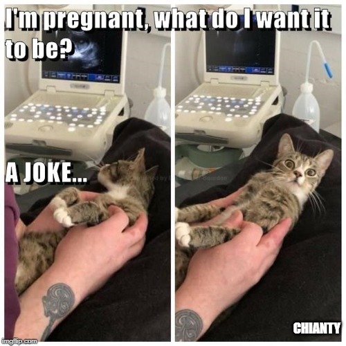 Pregnant | CHIANTY | image tagged in joke | made w/ Imgflip meme maker