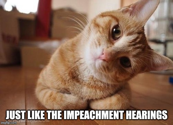 Curious Question Cat | JUST LIKE THE IMPEACHMENT HEARINGS | image tagged in curious question cat | made w/ Imgflip meme maker