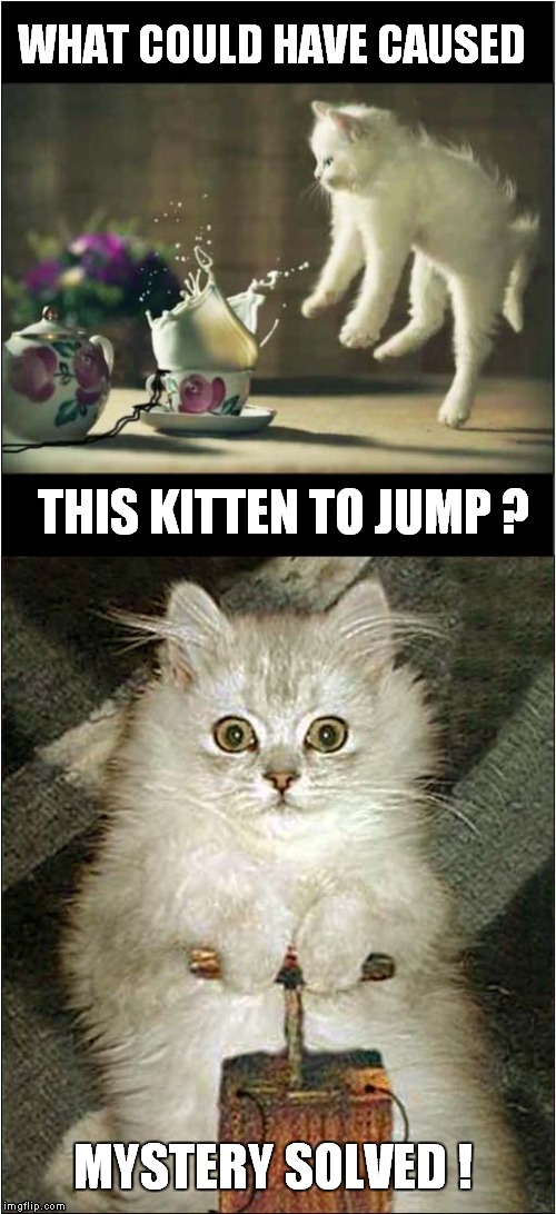 Exploding Sugar Lumps ! | WHAT COULD HAVE CAUSED; THIS KITTEN TO JUMP ? MYSTERY SOLVED ! | image tagged in cats,jumping,explosion | made w/ Imgflip meme maker