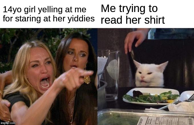 Woman Yelling At Cat Meme | 14yo girl yelling at me for staring at her yiddies; Me trying to read her shirt | image tagged in memes,woman yelling at cat | made w/ Imgflip meme maker