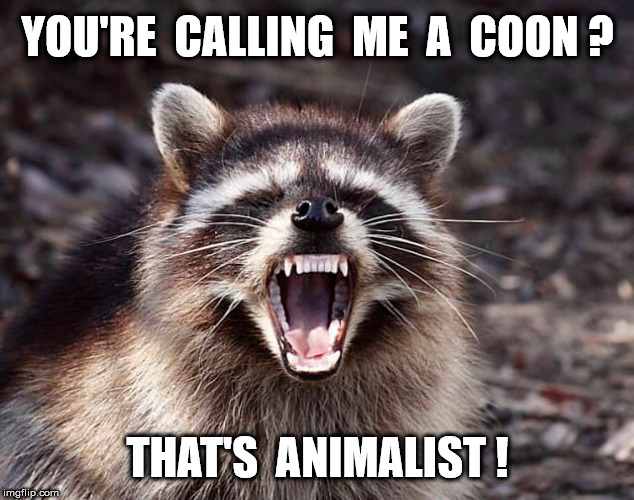 YOU'RE  CALLING  ME  A  COON ? THAT'S  ANIMALIST ! | made w/ Imgflip meme maker