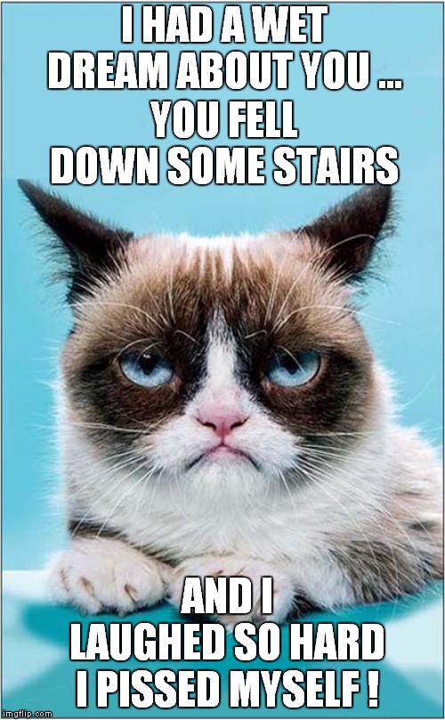 Grumpys Sweet Dream |  I HAD A WET DREAM ABOUT YOU ... YOU FELL DOWN SOME STAIRS; AND I LAUGHED SO HARD; I PISSED MYSELF ! | image tagged in fun,grumpy cat,sweet dreams | made w/ Imgflip meme maker