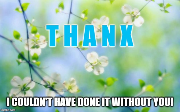 flowers | T H A N X; I COULDN'T HAVE DONE IT WITHOUT YOU! | image tagged in flowers | made w/ Imgflip meme maker