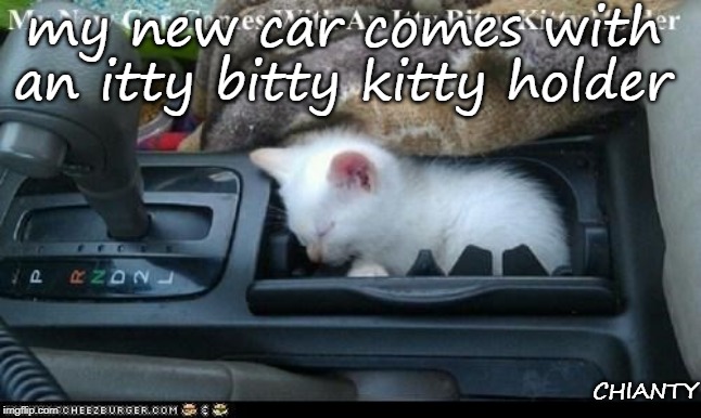 Car | my new car comes with an itty bitty kitty holder; CHIANTY | image tagged in kitty | made w/ Imgflip meme maker