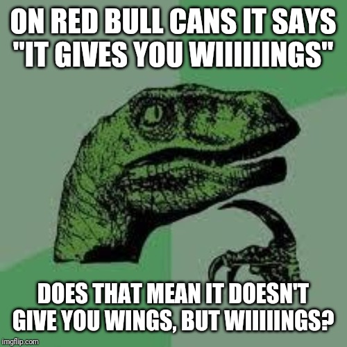 Dinosaur | ON RED BULL CANS IT SAYS "IT GIVES YOU WIIIIIINGS"; DOES THAT MEAN IT DOESN'T GIVE YOU WINGS, BUT WIIIIINGS? | image tagged in dinosaur | made w/ Imgflip meme maker