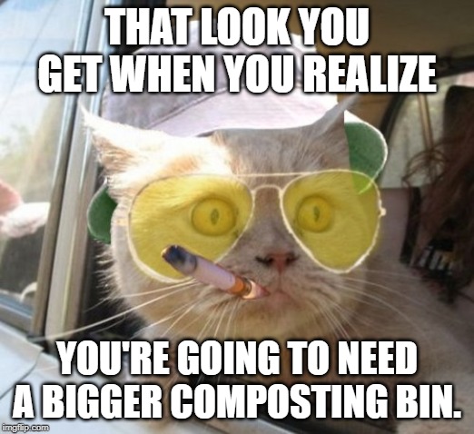Fear And Loathing Cat | THAT LOOK YOU GET WHEN YOU REALIZE; YOU'RE GOING TO NEED A BIGGER COMPOSTING BIN. | image tagged in memes,fear and loathing cat | made w/ Imgflip meme maker