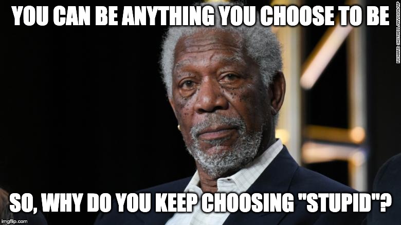 Choosing Is Hard | YOU CAN BE ANYTHING YOU CHOOSE TO BE; SO, WHY DO YOU KEEP CHOOSING "STUPID"? | image tagged in morgan freeman | made w/ Imgflip meme maker