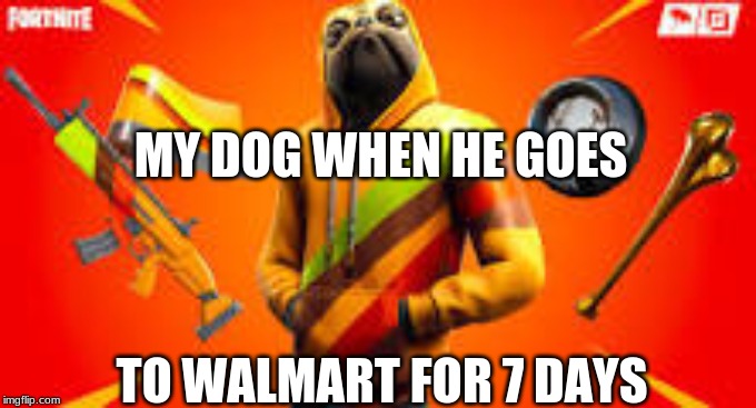 fortnite | MY DOG WHEN HE GOES; TO WALMART FOR 7 DAYS | image tagged in fortnite,dogs,walmart,funny | made w/ Imgflip meme maker