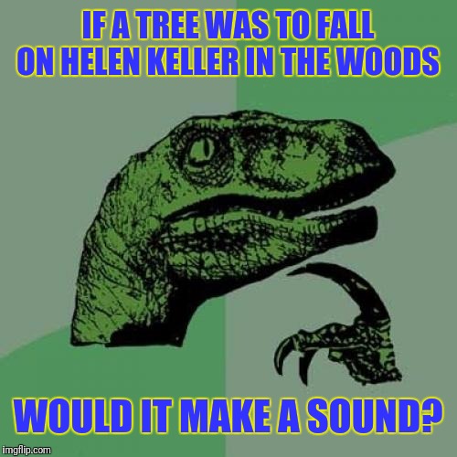 Philosoraptor | IF A TREE WAS TO FALL ON HELEN KELLER IN THE WOODS; WOULD IT MAKE A SOUND? | image tagged in memes,philosoraptor | made w/ Imgflip meme maker