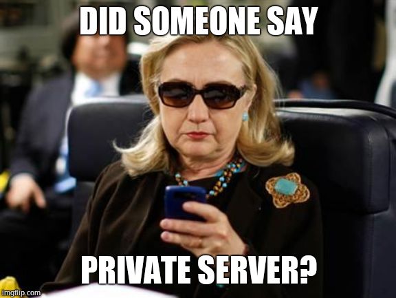 Hillary Clinton Cellphone Meme | DID SOMEONE SAY PRIVATE SERVER? | image tagged in memes,hillary clinton cellphone | made w/ Imgflip meme maker