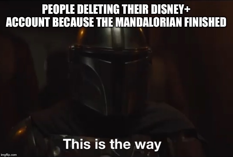 This is the way | PEOPLE DELETING THEIR DISNEY+ ACCOUNT BECAUSE THE MANDALORIAN FINISHED | image tagged in this is the way | made w/ Imgflip meme maker