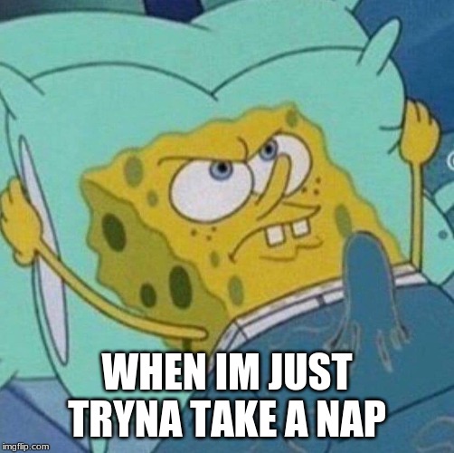 spongebob boner | WHEN IM JUST TRYNA TAKE A NAP | image tagged in spongebob boner | made w/ Imgflip meme maker