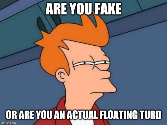 Futurama Fry Meme | ARE YOU FAKE; OR ARE YOU AN ACTUAL FLOATING TURD | image tagged in memes,futurama fry | made w/ Imgflip meme maker