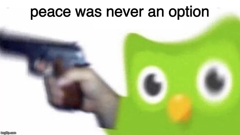 duolingo gun | peace was never an option | image tagged in duolingo gun | made w/ Imgflip meme maker