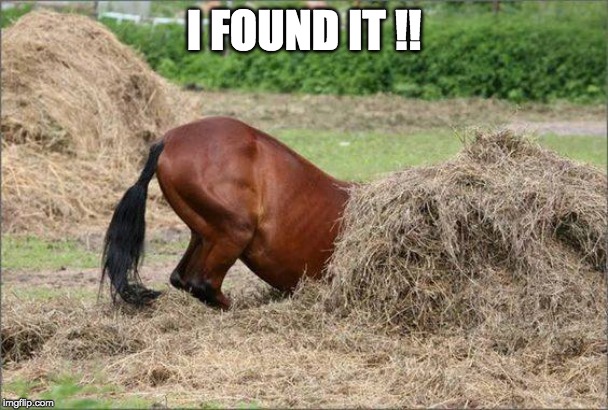 I Found It  !! | I FOUND IT !! | image tagged in horse,hay,needles | made w/ Imgflip meme maker