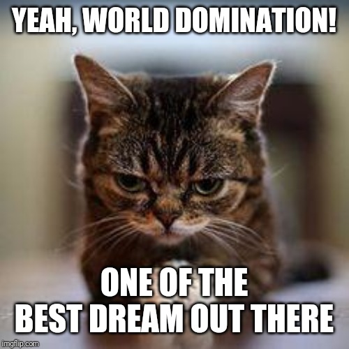 WORLD DOMINATION | YEAH, WORLD DOMINATION! ONE OF THE BEST DREAM OUT THERE | image tagged in world domination | made w/ Imgflip meme maker