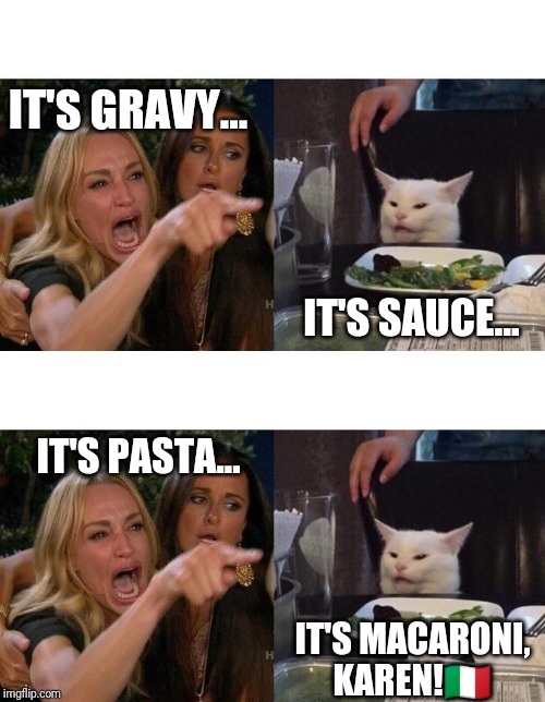 IT'S GRAVY... IT'S SAUCE... IT'S PASTA... IT'S MACARONI, KAREN!🇮🇹 | image tagged in memes,woman yelling at cat | made w/ Imgflip meme maker