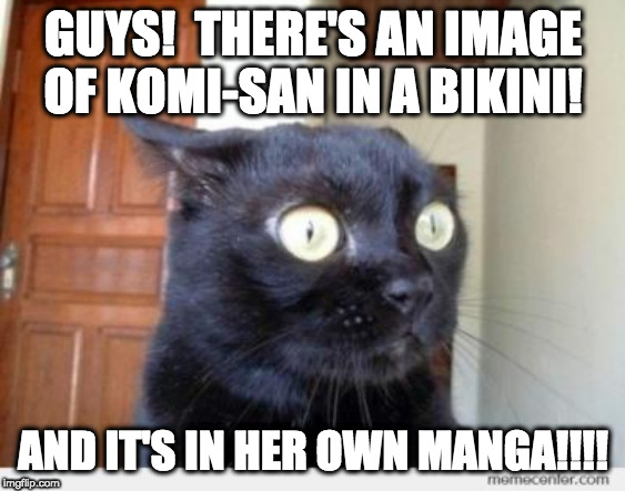 LEWDING IN THE MANGA?!?! | GUYS!  THERE'S AN IMAGE OF KOMI-SAN IN A BIKINI! AND IT'S IN HER OWN MANGA!!!! | image tagged in scared cat,memes,cats,anime,komi-san,manga | made w/ Imgflip meme maker