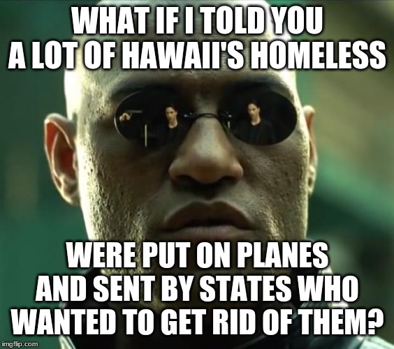 Morpheus  | WHAT IF I TOLD YOU A LOT OF HAWAII'S HOMELESS WERE PUT ON PLANES AND SENT BY STATES WHO WANTED TO GET RID OF THEM? | image tagged in morpheus | made w/ Imgflip meme maker