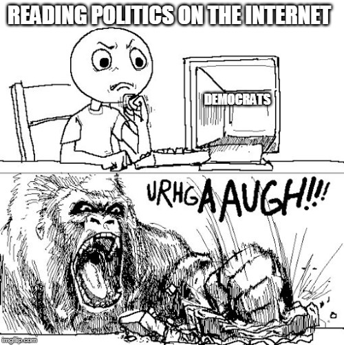 Politics These Days | READING POLITICS ON THE INTERNET; DEMOCRATS | image tagged in rage in a nutshell,democrats,republicans | made w/ Imgflip meme maker