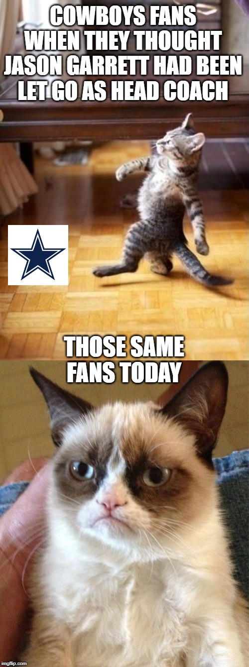 COWBOYS FANS WHEN THEY THOUGHT JASON GARRETT HAD BEEN LET GO AS HEAD COACH; THOSE SAME FANS TODAY | image tagged in memes,cool cat stroll,grumpy cat | made w/ Imgflip meme maker